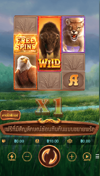 Buffalo Win สล็อต PG SLOT เว็บตรง