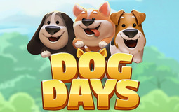 Dog Days Microgaming pgslot 168 vip