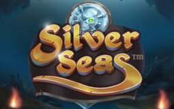 Silver Seas Microgaming pgslot 168 vip