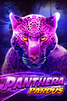 Panthera Pardus Live22 pgslot168 vip