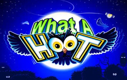 What A Hoot Microgaming pgslot 168 vip