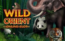 Wild Orient Microgaming pgslot 168 vip