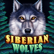 Siberian Wolves KA GAMING pgslot168 vip