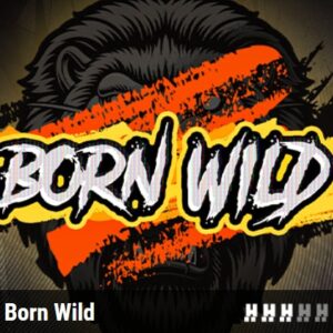 BORN WILD Hacksaw Gaming pgslot168 vip