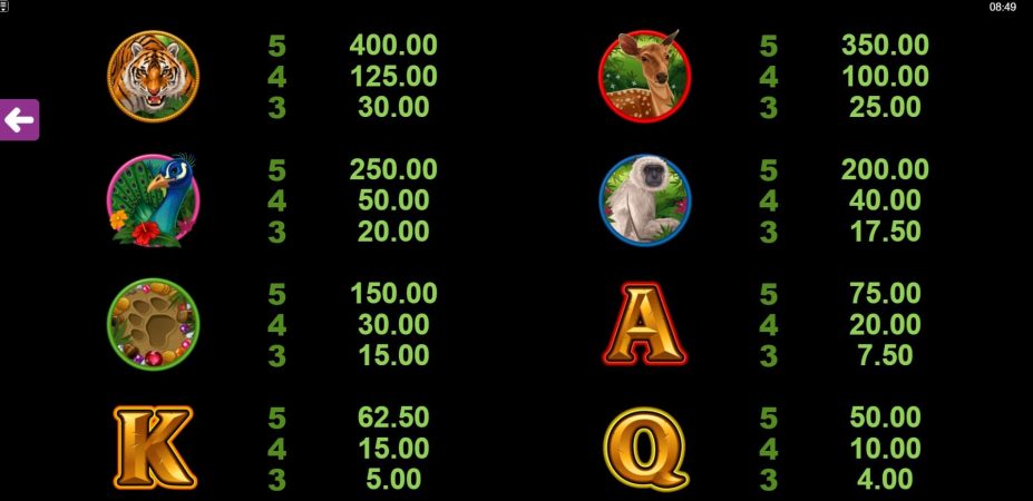 Tiger’s Eye Microgaming pgslot168 vip เว็บตรง