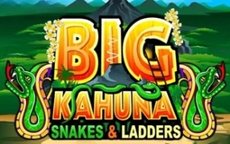 Big Kahuna Snakes and Ladders Microgaming pgslot168 vip