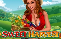 Sweet Harvest Microgaming pgslot168 vip