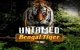 Untamed Bengal Tiger Microgaming pgslot168 vip