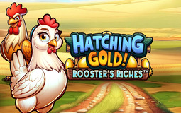 Hatching Gold! Roosters Riches Microgaming pgslot168 vip