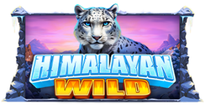 Himalayan Wild Pragmatic Play pgslot168 vip