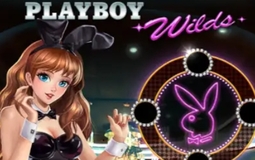 Playboy Wilds Microgaming pgslot168 vip