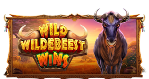 Wild Wildebeest Wins Pragmatic Play pgslot168 vip