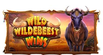 Wild Wildebeest Wins Pragmatic Play pgslot168 vip