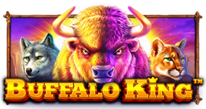 Buffalo King Pragmatic Play pgslot168 vip