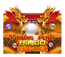 Burning Pearl Bingo Slotxo pgslot168 vip