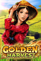 Golden Harvest Live22 pgslot168 vip