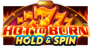 Hot to Burn Hold and Spin Pragmatic Play pgslot168 vip