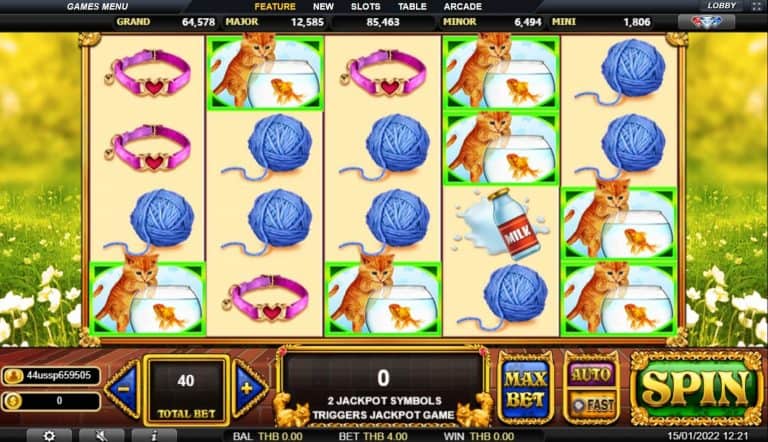 Pop Kittens Live22 pgslot168 vip ทดลองเล่น