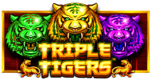 Triple Tigers Pragmatic Play pgslot168 vip