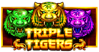 Triple Tigers Pragmatic Play pgslot168 vip