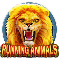 Running Animals CQ9 SLOT pgslot168 vip